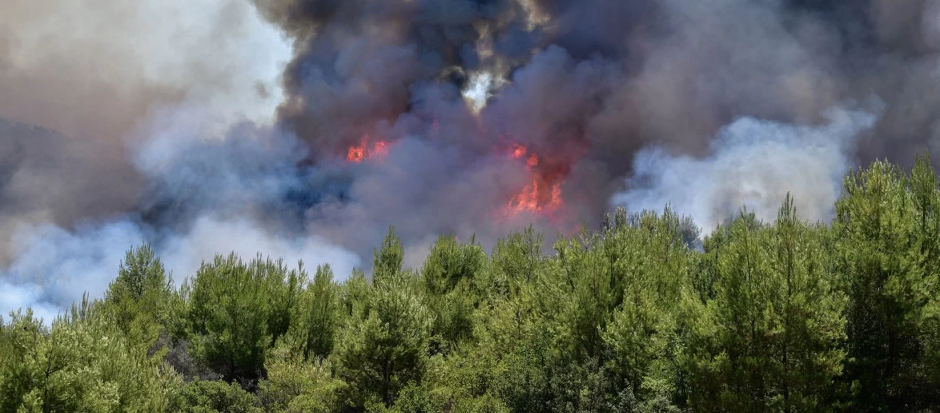 Πυρκαγιές κατακαίγουν Αργολίδα και Χαλκίδα - Πού είναι τα «δεκάδες» πυροσβεστικά αεροσκάφη της κυβέρνησης;